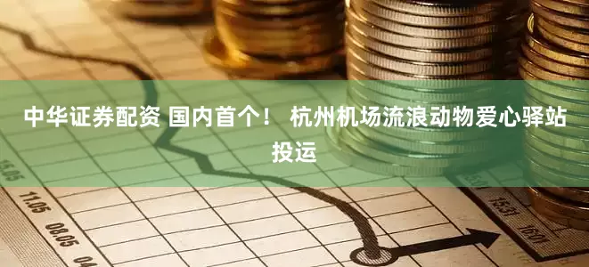 中华证券配资 国内首个！ 杭州机场流浪动物爱心驿站投运