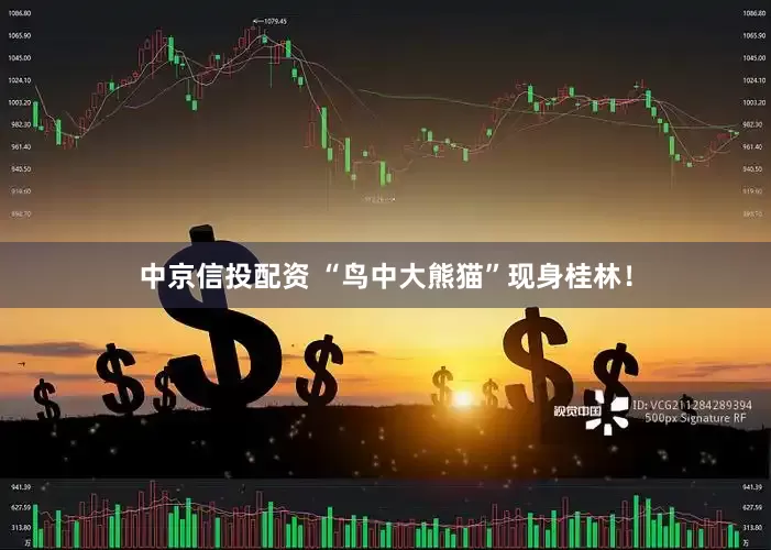 中京信投配资 “鸟中大熊猫”现身桂林！